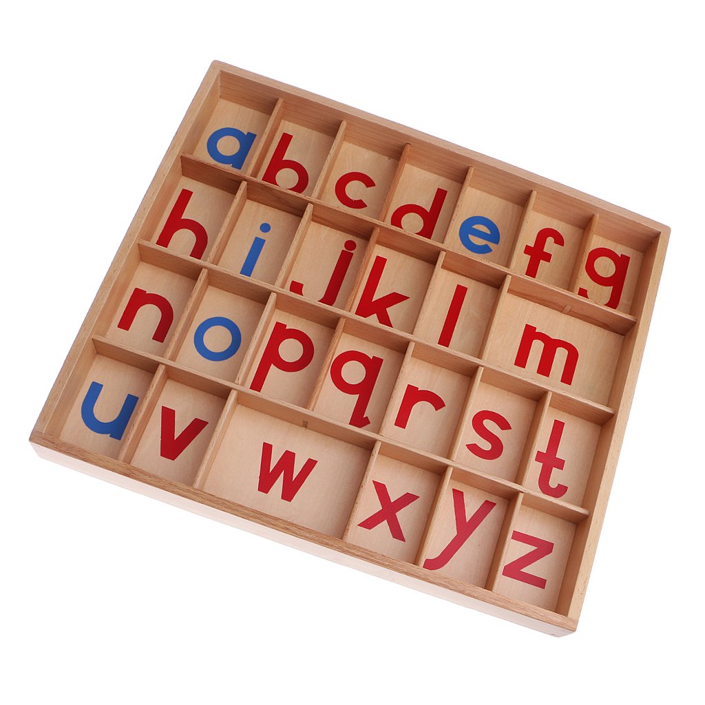 Box For Lowercase Small Movable Alphabet – Monte Lion